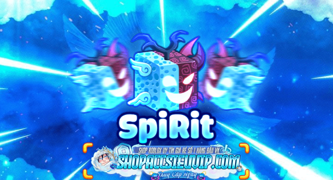 SPIRIT TRADE